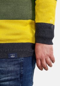 Pull en maille avec rayures vertes, jaunes et gris foncé, poignets et ourlet côtelés. Étiquette visible avec la marque « Lifestyle for Lerros Everyday ».