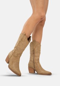 Botas de cowboy de ante marrón con puntas afiladas, detalles de costuras texturizadas, cremallera lateral y tacón apilado.