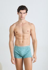 Calvin Klein Underwear TRUNK 3 PACK - Boxerbriefs - micro chip/diamond/zoni beach