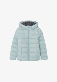 Nepasirinkta, sage green