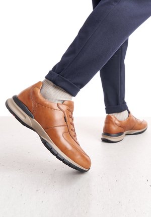 ABERDEEN - Sneakers laag - braun