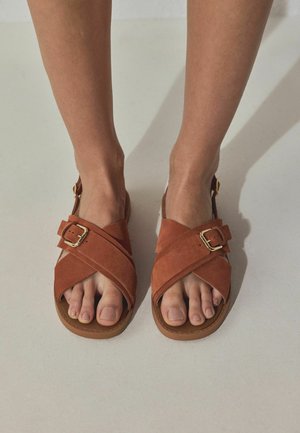 STANDARD WIDE FIT  BUCKLE  - Riemensandalette - rust orange suede