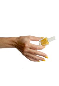 Immagine in miniatura 4