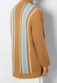 Brown knit sweater with blue and white vertical stripes. Features a collar, long sleeves, and a textured pattern.