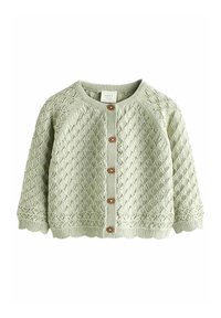 Next - POINTELLE REGULAR FIT - Chaqueta de punto - sage green Imagen en miniatura 1