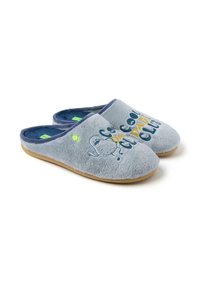 Zapatillas de peluche grises con una textura suave, forro interior azul y suela de goma. Presenta texto impreso y un diseño de personaje de dibujos animados.