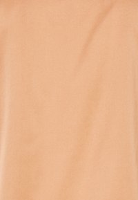 Pinko FARIDA - T-shirt basic - brown