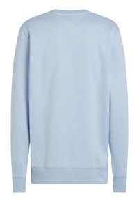 Felpa azzurro chiaro, collo rotondo, maniche lunghe, realizzata in tessuto morbido, con polsini e orlo a coste, texture liscia, dettagli di cuciture minimi.