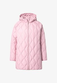 Niewybrane, delicate dusty rose