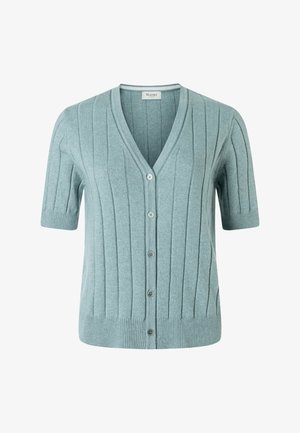 Light blue short-sleeve cardigan with vertical ribbing, V-neck, front button closure, and ribbed cuffs and hem, labeled Maerz.