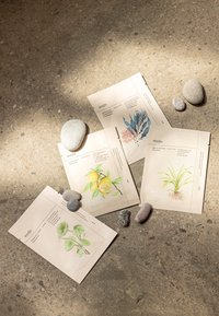 Fem beige hudvårdspaket med botaniska illustrationer: citron, växtrötter, gröna blad och korall. Omgivna av släta grå stenar på betong.