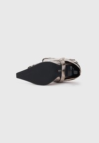 Botine metalice cu vârful ascuțit, talpă din cauciuc negru și o cataramă decorativă. Prezintă un material texturat și o siluetă elegantă.