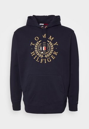ICON ROUNDALL GRAPHIC HOODY - Sweatshirt - desert sky