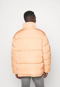 Giacca a vento color pesca con collo alto, design a trapunta e polsini elasticizzati. Il materiale sembra liscio e lucido. Vista da dietro.