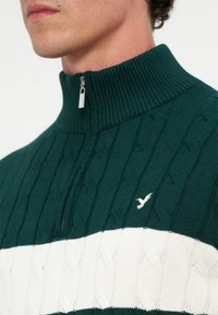 Gros plan d'une personne portant un pull en maille torsadée vert foncé et blanc avec une fermeture éclair demi-longue et un petit logo d'oiseau sur la poitrine.