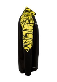 uhlsport FUSSBALL TEAMSPORT - Sweater - schwarzgelb