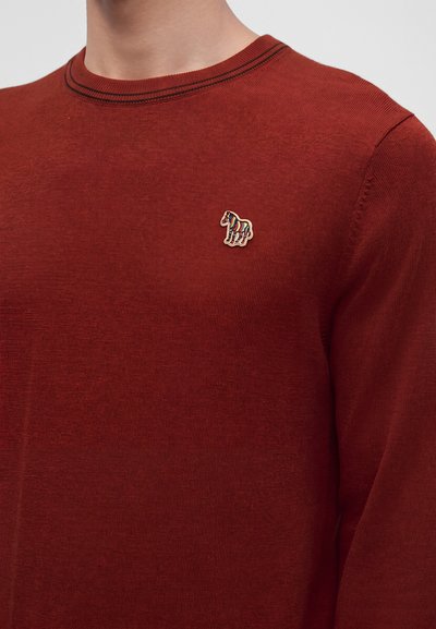 Homme portant un pull couleur rouille avec bordure noire et une petite broche rayée multicolore en forme de cheval sur le côté gauche de la poitrine.