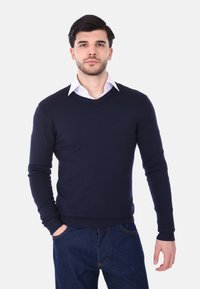 Maglione navy blue a scollo a V realizzato in tessuto a maglia, con maniche lunghe e polsini a costine, indossato sopra una camicia bianca con colletto.