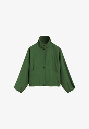 Giacca corta verde con collo alto, maniche lunghe a sbuffo, chiusura frontale con bottoni e due tasche laterali.