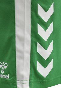 Gröna polyester sportshorts med vit sidopanel och chevronmönster. Har kontrasterande sömmar och en logotyp i nedre vänstra hörnet.