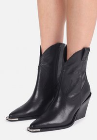Stivaletti in pelle nera con punta affusolata, chiusura con zip e tacco a zeppa. Presentano cuciture decorative e accenti in argento.