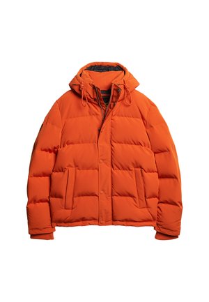 Superdry & Co EVEREST HOODED PUFFER - Chaqueta de invierno - pureed pumpkin orange