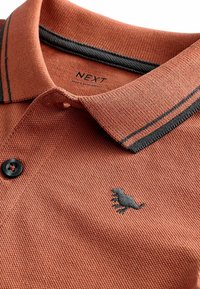 Next STANDARD - Polokošeľa - rust brown tipped