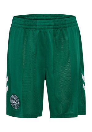 Grüne Sportshorts mit elastischem Bund, Mesh-Streifen-Details und rundem Logo des Dänischen Fußballverbands am linken Bein.