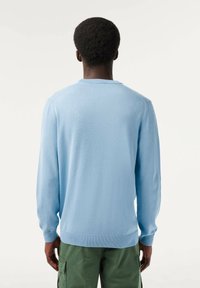 Maglione azzurro chiaro lavorato a maglia con maniche lunghe, polsini e orlo a costine, caratterizzato da un classico scollo rotondo e un design delle spalle senza cuciture.