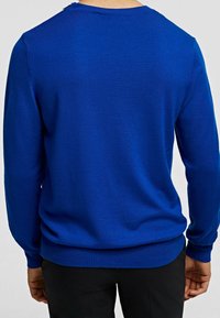 Blauer Strickpullover mit langen Ärmeln, gerippten Bündchen und Saum. Schlichtes Design mit Rundhalsausschnitt und Rückenabweichung nahe der Schulter.