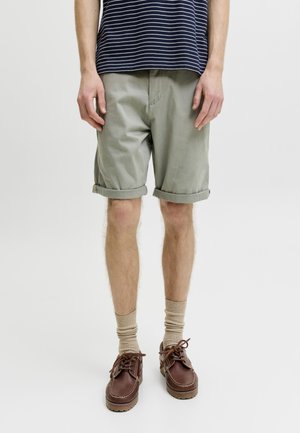 Persona con pantalones cortos verdes con dobladillo enrollado, camisa de rayas azul marino, calcetines beige y náuticos marrones, de pie sobre un fondo blanco liso.
