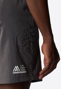 The North Face MA GRAPHIC - Shorts - anthracite grey tnf bla