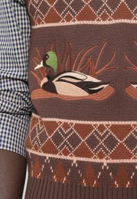 Πλεκτό καφέ πουλόβερ με σχέδιο αργκλάι και κεντημένη πράσινη πάπια με κεφάλι ανάμεσα σε καλάμια στο στήθος.