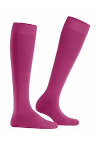 FALKE CLIMA - Calzettoni - berry
