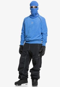 Quiksilver LIVE WIRE Ski pants true black/black