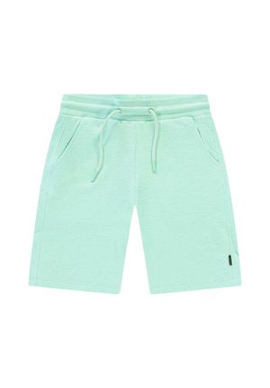Lichtgroene casual shorts met elastische tailleband, trekkoord, steekzakken aan de voorkant en een klein zijlabel, plat gelegd op een witte achtergrond.