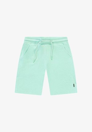 Lichtgroene casual shorts met elastische tailleband, trekkoord, steekzakken aan de voorkant en een klein zijlabel, plat gelegd op een witte achtergrond.