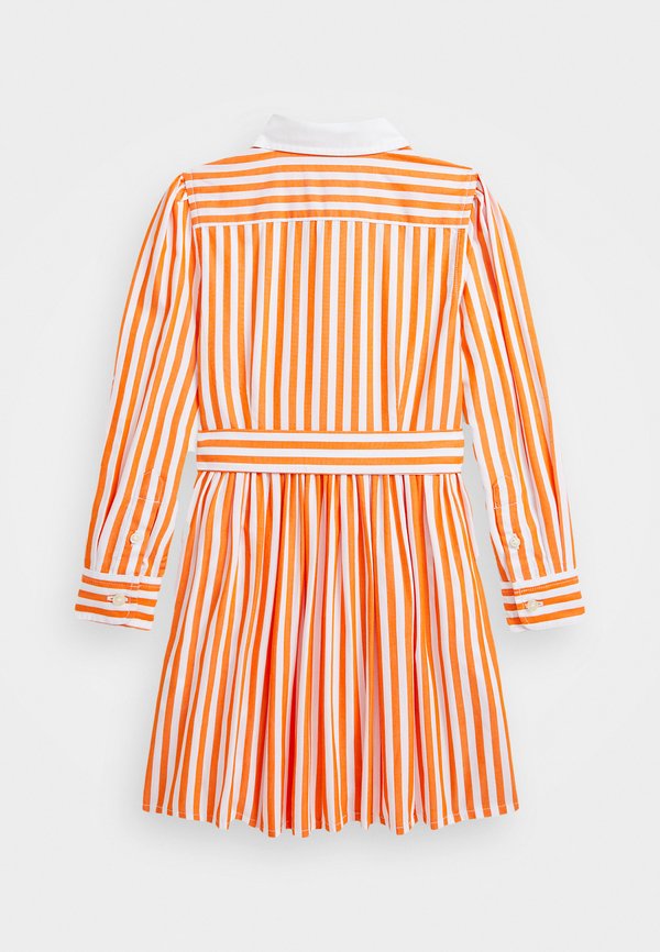STRIPED COTTON POPLIN SHIRTDRESS - Shirt dress2
