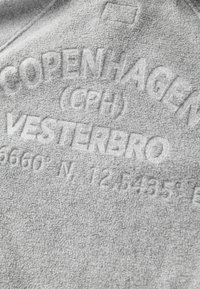 REGULAR FIT FULL ZIP - Fleecejacke - grey copenhagen