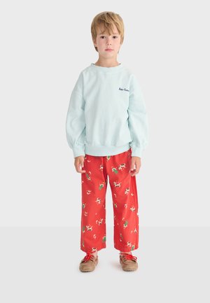 Bambino che indossa una felpa azzurra e pantaloni rossi con stampe di animali e piante, in piedi di fronte su uno sfondo uniforme.