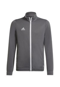 adidas Performance - ENTRADA 22 TRACK - Veste de survêtement - team grey four Image miniature 1