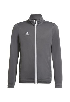 Graue Sportjacke mit hohem Kragen, weißem Reißverschluss und kleinem weißen Logo auf der linken Brust. Hergestellt aus glattem Stoff mit seitlichen Taschen.