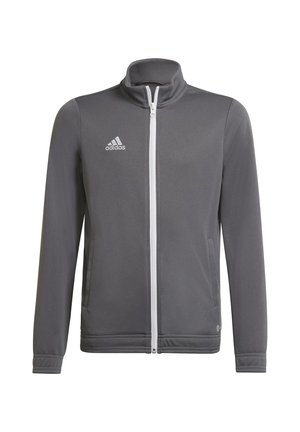 adidas Performance ENTRADA 22 TRACK - Training jacket - team grey four