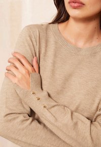 Friends Like These CREW NECK  2 PACK - REGULAR FIT - Pulóver - black camel