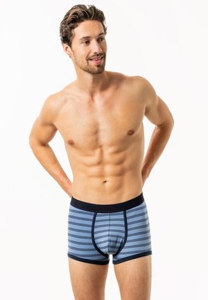 Blue striped boxer briefs with a dark waistband, featuring a fitted design and a supportive front pouch. Made of soft, stretchy material.