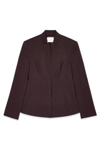 Brauner, taillierter Blazer mit schmaler Passform, scharfem Kragen, langen Ärmeln und strukturierten Nähten, aus einem glatten, strukturierten Stoff gefertigt.