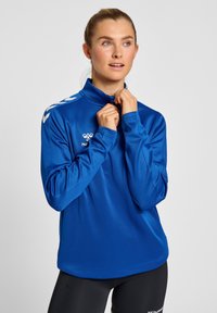 Koninklijk blauwe lange mouwen sporttop met hoge kraag, voorzien van witte schouderstrepen en een logo op de borst. Glad, lichtgewicht materiaal.
