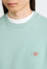 Felpa verde chiaro con colletto a coste. Presenta un piccolo patch ricamato con il logo Dickies sul lato sinistro del petto. Texture liscia.