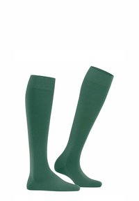 FALKE SOFTMERINO - Kniestrümpfe - caiman
