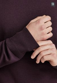 G-STAR PREMIUM CORE TURTLE  - Pulover - lt maze